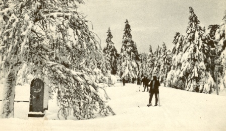 grenzadler winter 1921